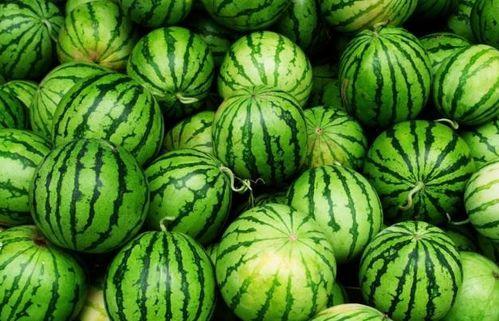 今日吃瓜每日必吃